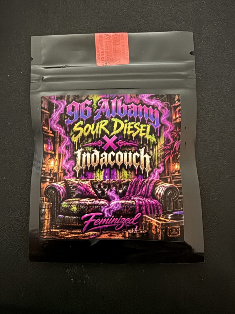 96 Albany Sour Diesel x Indacouch Fem