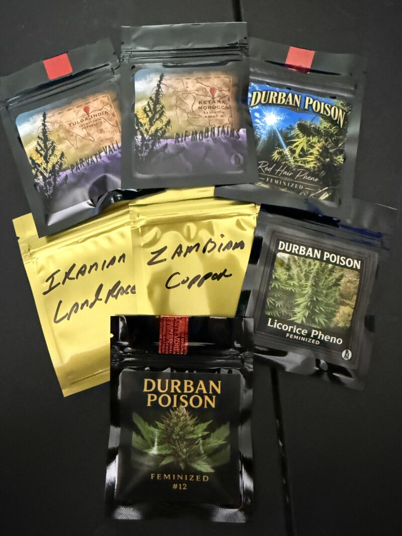 Z13 Box Set