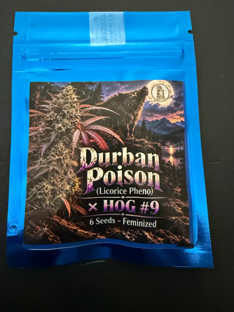Durban Poison (Licorice Pheno) x Hog #9 Fem