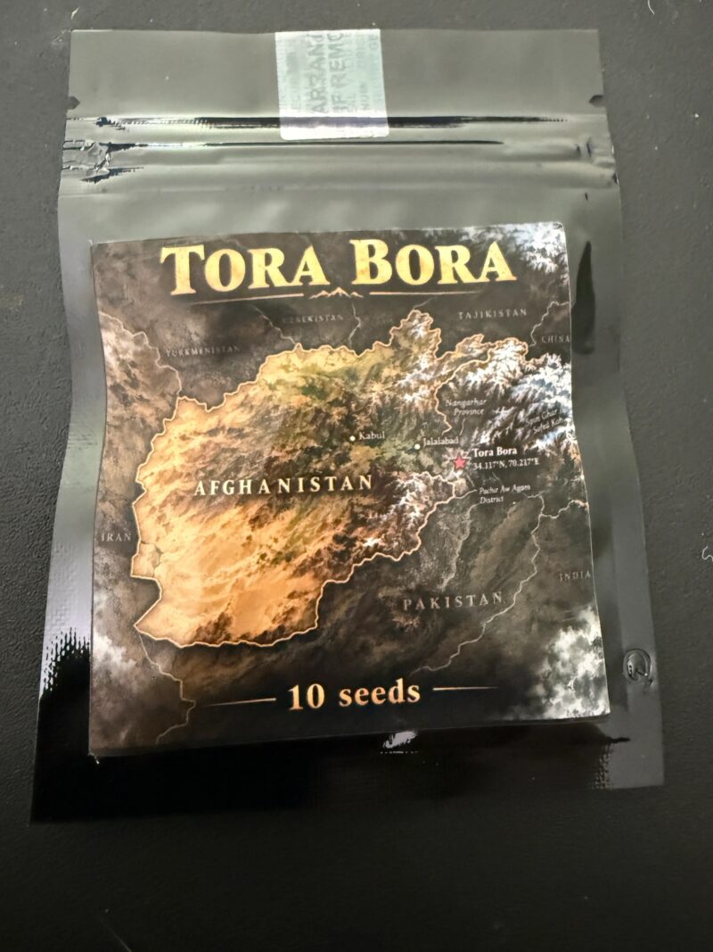 Tora Bora