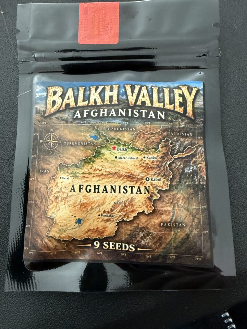 Afghanistan Balkh Valley Landrace Seeds