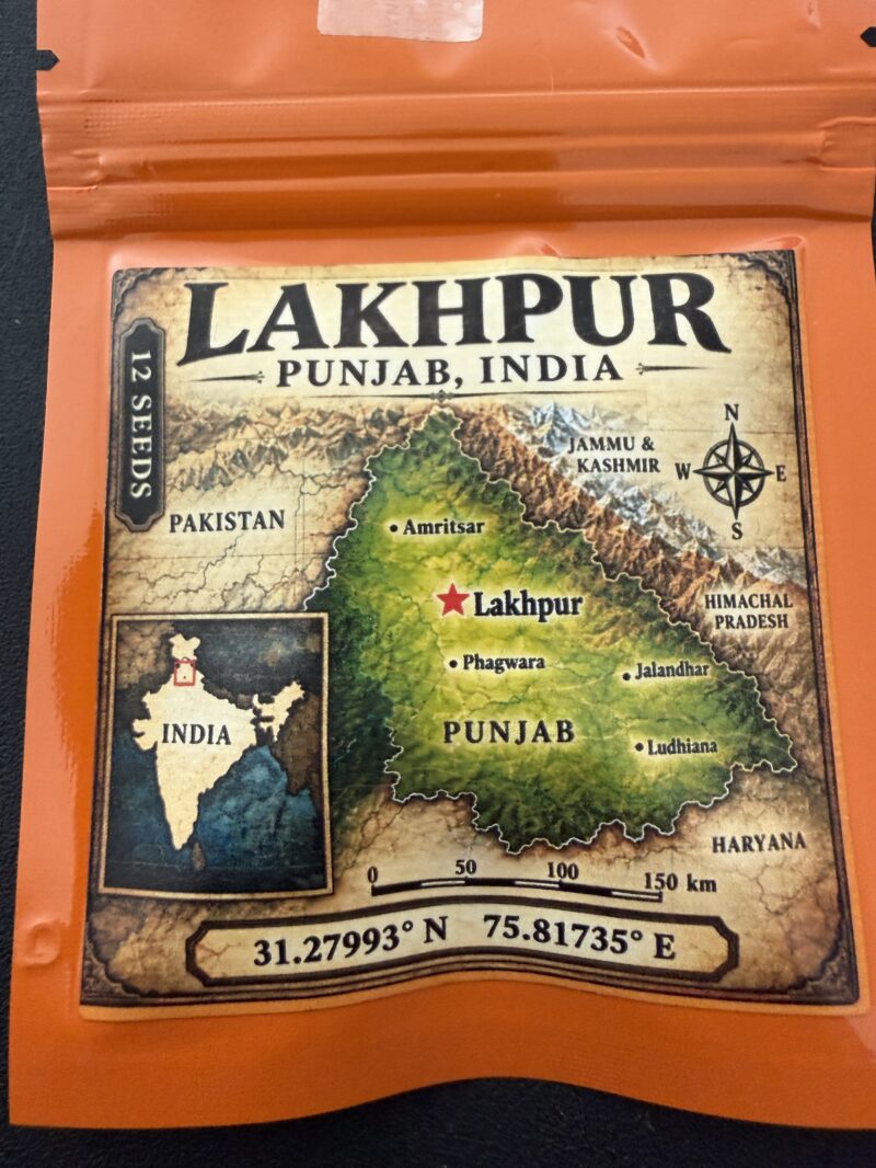 India, Punjab, Lakhpur Landrace