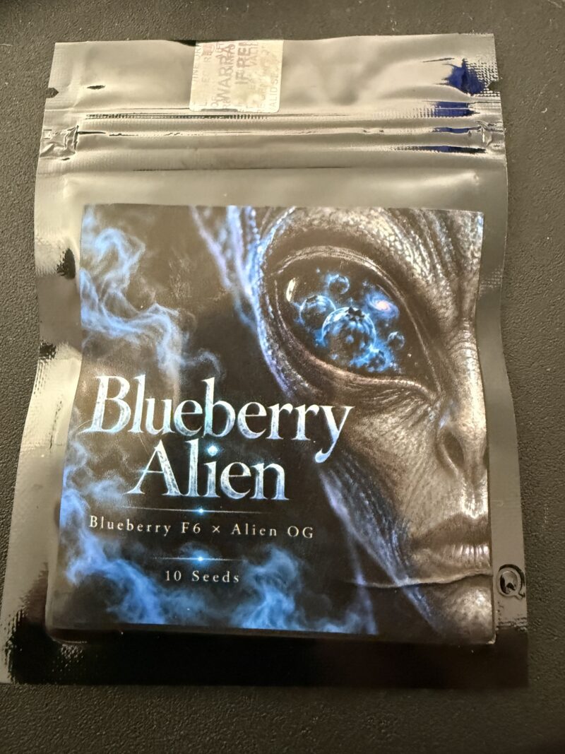 Blueberry Alien