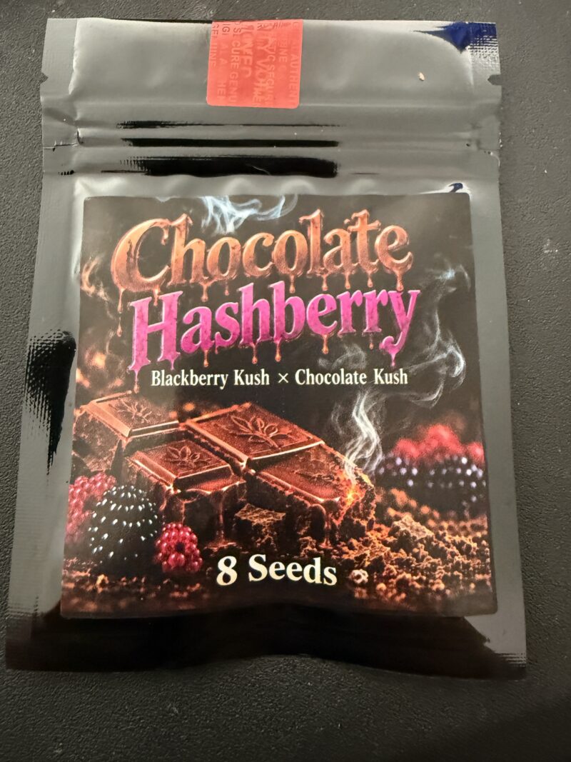 Chocolate Hashberry (Blackberry Kush x Chocolate Kush)