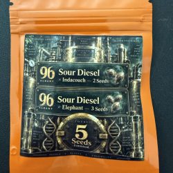 96 Albany Sour Diesel x Indacouch 2 Seeds - Albany Sour Diesel x Elephant 3 Seeds