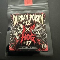 Durban Poison #12 x Hog #17