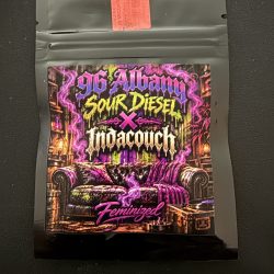 96 Albany Sour Diesel x Indacouch Fem