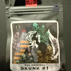 Skunk #1 Original Sam the Skunk Man