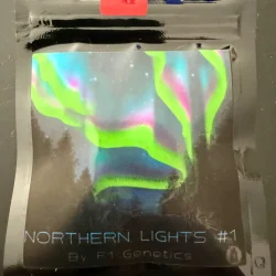 Northern Lights #1 Original Seeds