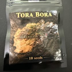 Tora Bora