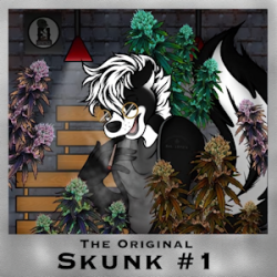Skunk #1 Original Sam the Skunk Man